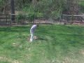 Grandma Weeds