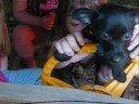 Go Speed Puppy!!