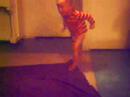 demian our ballerina (2008) demian our ballerina (2008)