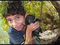 family reyes espinal.wmv