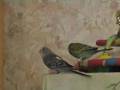 Один день из жизни попугаев
