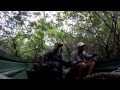 Birds of Venezuela -- 'Venezuela Challenge ...