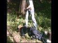 NiggerProductions - Blatte Royal