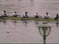 videos de Städtekampf Rudern 2008  JM A 8+