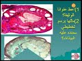 المحال التعلمي الأخير لسنة الأولى جذع مشترك علوم وتكنولوجيا