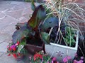 house-and-garden.html