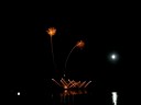 Global Fest at Elliston park
