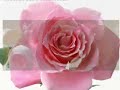 Titredim Efendim Seni And?m D�n Gece.?ndir:www.dikab.com