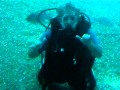 Swimming with Sharks