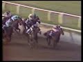 John Henry - 1981 Jockey Club Gold Cup John Henry - 1981 Jockey Club Gold Cup