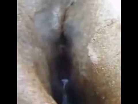 vigina