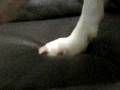 眠さに耐える