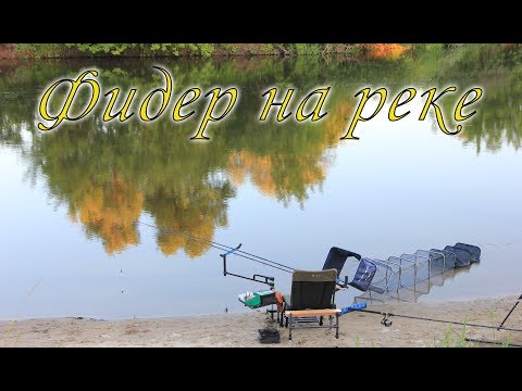 ютуб ловля белой рыбы на фидер ютуб ловля белой рыбы на фидер