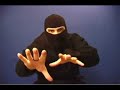 Ask A Ninja: Ninja Dogs Ask A Ninja: Ninja Dogs