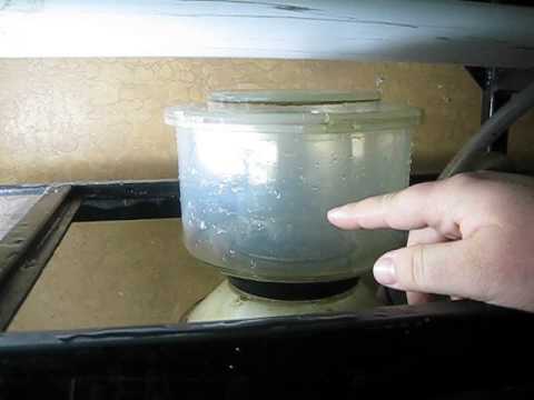 how to adjust protein skimmer