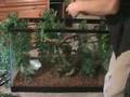 Building-A-Habitat-F