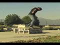 Tricktip: Switch backside smith grinds with Brian Wenning