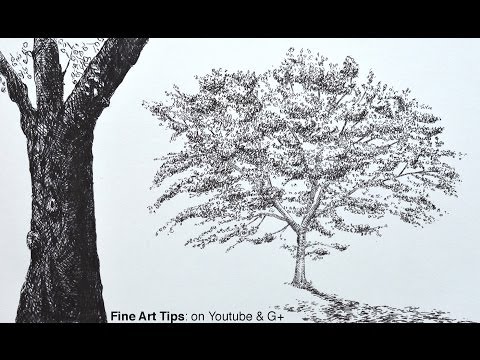 how to to draw a tree