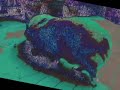 Alien Corgi