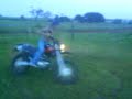 MOV00381,,