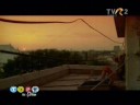 VAMA VECHE - The Kite (Zmeul) [Love Sick Soundtrack] Manele-Gratis.net
