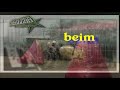 Paintball / Team Useless-MG / Training Uncut Part 1
