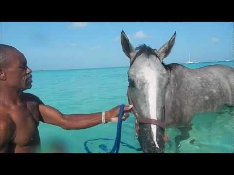horse racing