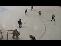 Hockey match, Letci U7 - Zbraslav U8 6:4
