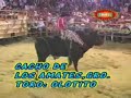 2 MONTAS PERRONAS EN TEMIXCO