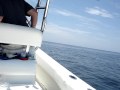 videos de fishing trip 002