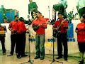 PAGODE FOGO PURO 100%