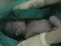 Efe Boran Pepe Doğum Videosu