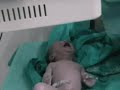 Efe Boran Pepe Doğum Videosu