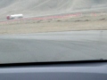 Honda Civic SI 2009 en La Chutana