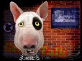 John Visconti - Dog\ John Visconti - Dog\