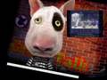 Assistir ao v�deo