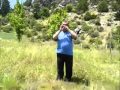 emin demirayak kadir turan mehmet ali kayabaş