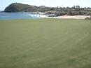 Jeff on Par 3 17th Green with great shot!