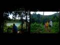 Koh Chang s bráškou - Thajsko2007