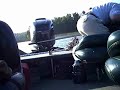 Nice fish? Nice fish?