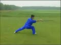 Fifth Dan Wushu Straight Sword