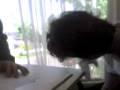 videos de Papeleo 1
