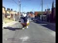 videos de kung fu panda botarga