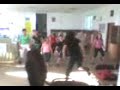 hip hop fitnes hip hop fitnes