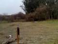 Dia del amigo - Fin de semana en Lamadrid 1