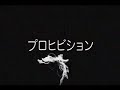 通り マジック - プロヒビション - ジェームス L. クラーク