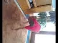 Super Karate Pushup Super Karate Pushup