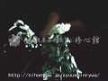 TAMESHIGIRI?Chrysanthemum? TAMESHIGIRI?Chrysanthemum?