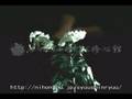 TAMESHIGIRI~Chrysanthemum~