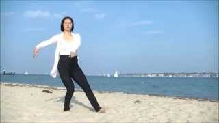 Qi Qong 5 animaux, version alternative